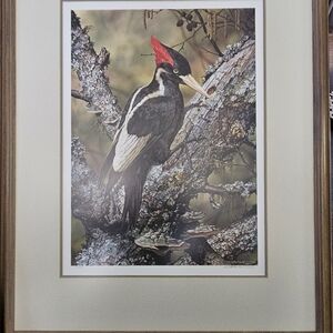 Framed Woodpecker Art Print with Red and Black Accents
